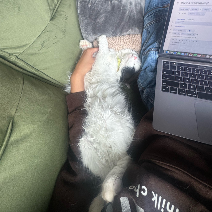 Loving  Reliable Cat Sitter