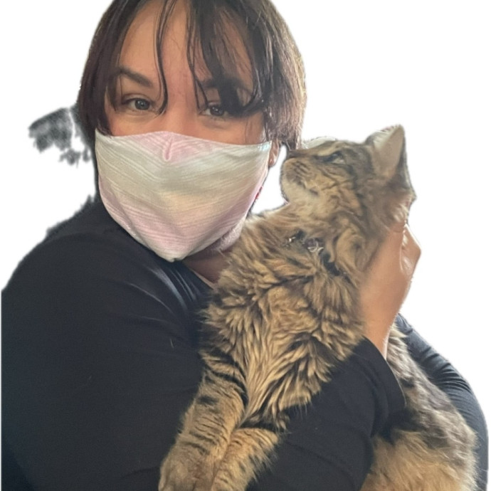 Caring Cat Sitter For Cats And Kittens