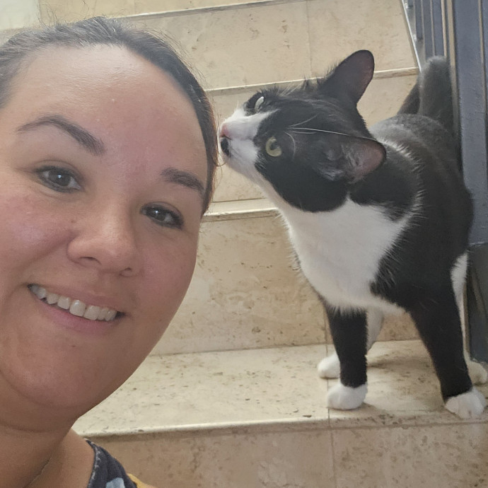 Caring Cat Sitter For Cats And Kittens