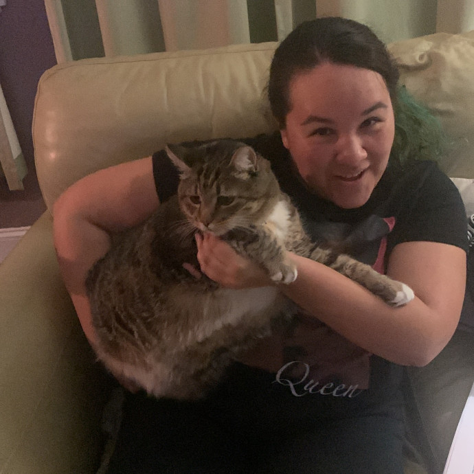 Caring Cat Sitter For Cats And Kittens