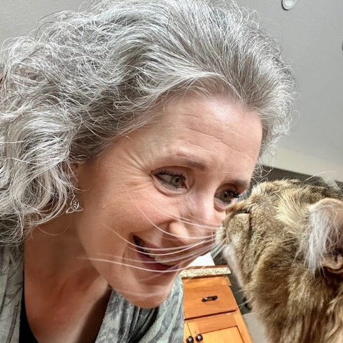Purrfectly Pampered Kitty Care - Vet Tech