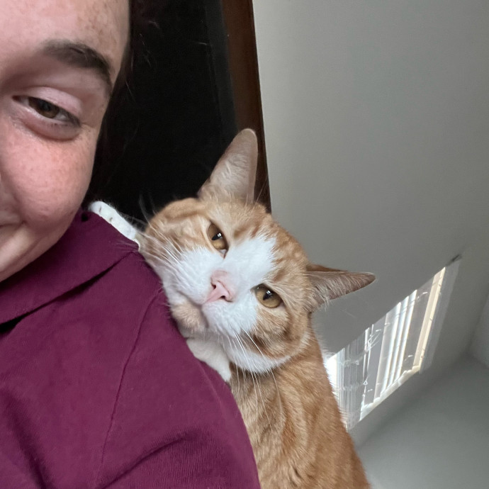The Cats Meow