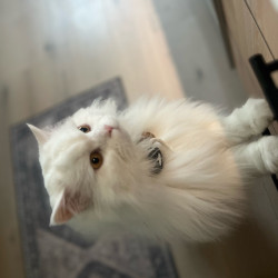 Photo #1 Photo #1