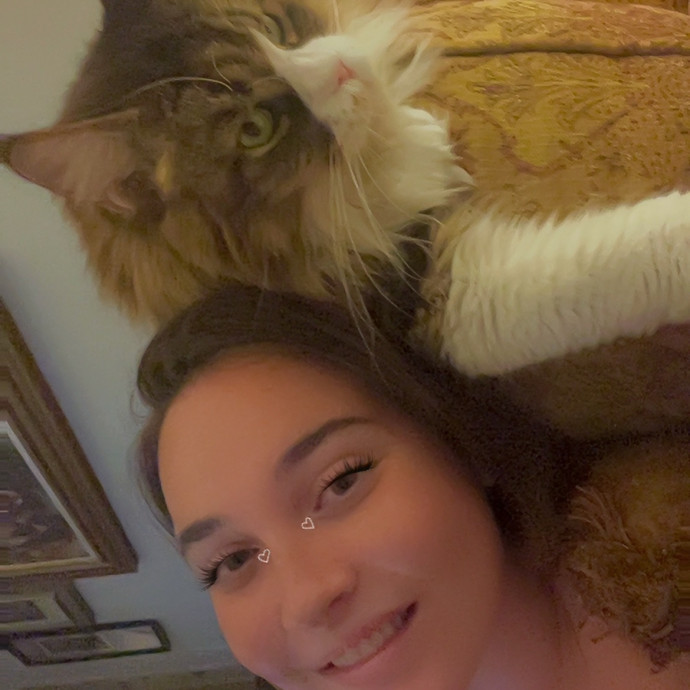 The Cats Meow