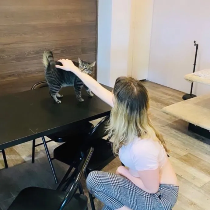 Lifelong Cat Lady  Trusted Sitter