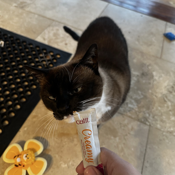 Trusted Keeper Of  Num Nums