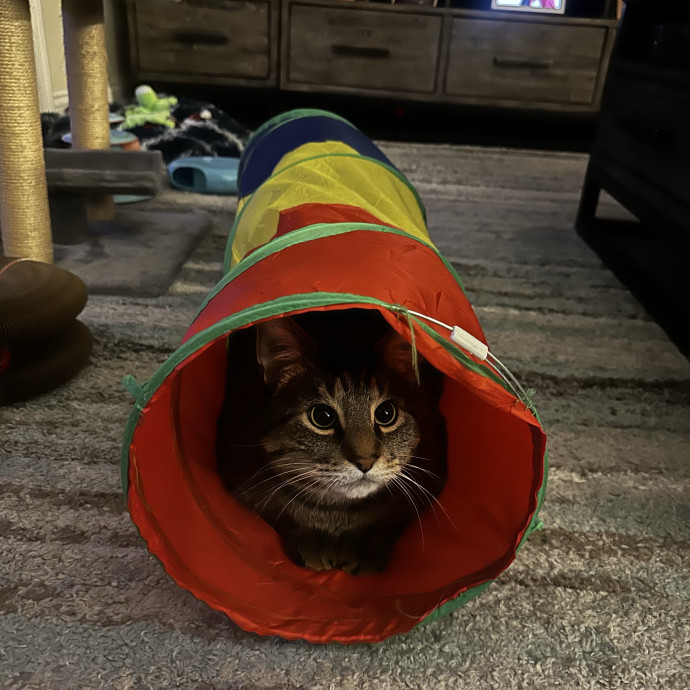 Trusted Keeper Of  Num Nums