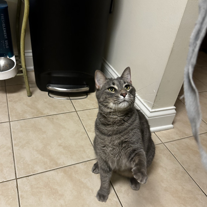 Trusted Keeper Of  Num Nums