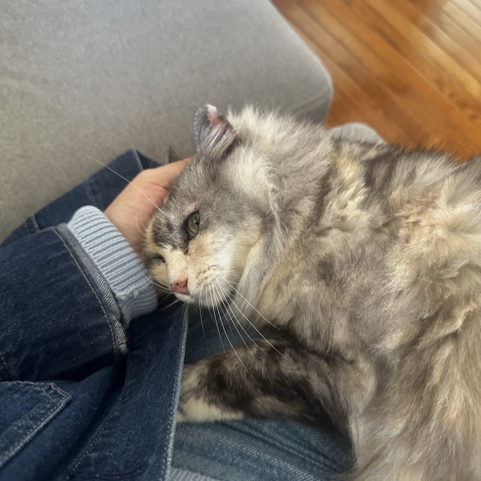 Trusted Keeper Of  Num Nums