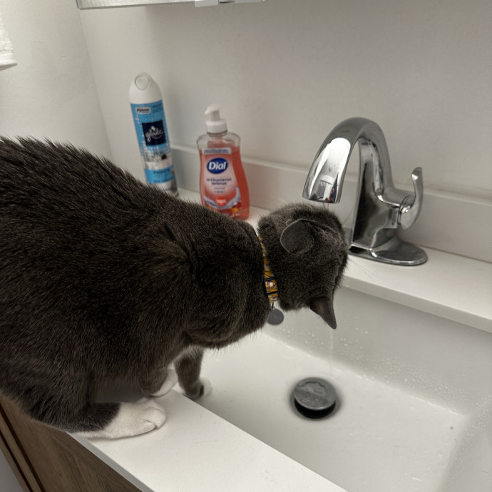 Trusted Keeper Of  Num Nums