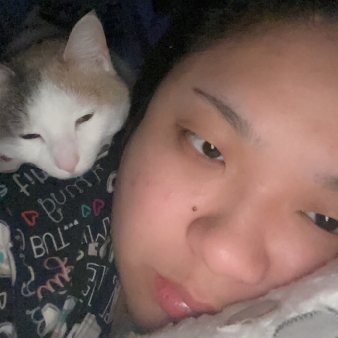 Mama Of 4 Cats