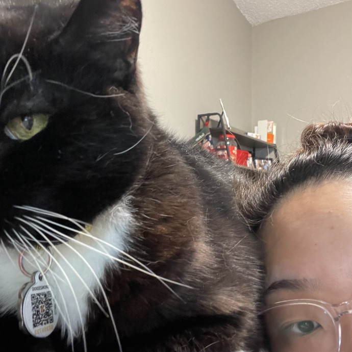 Mama Of 4 Cats