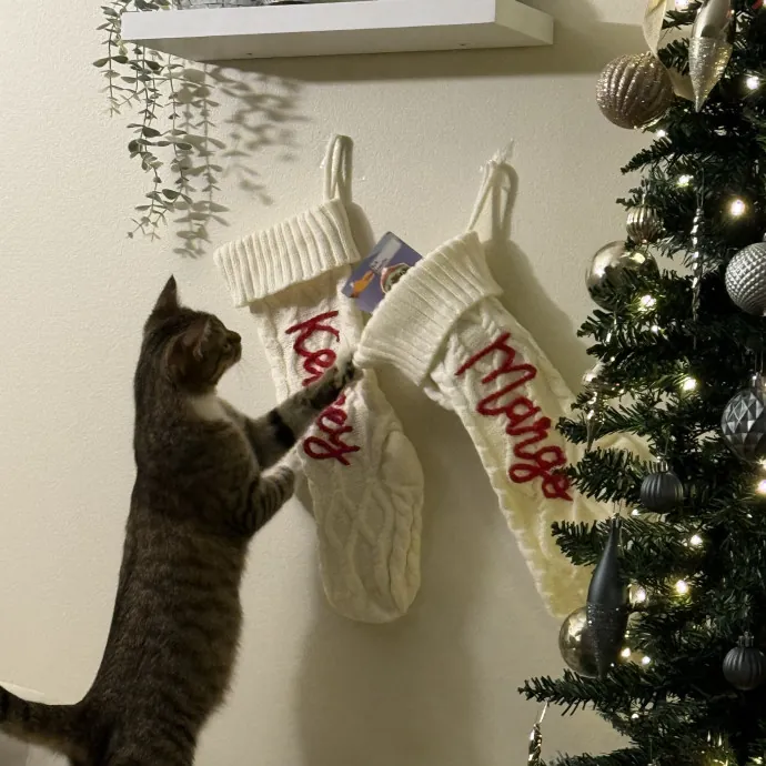 Kelsey The Cat Bestie