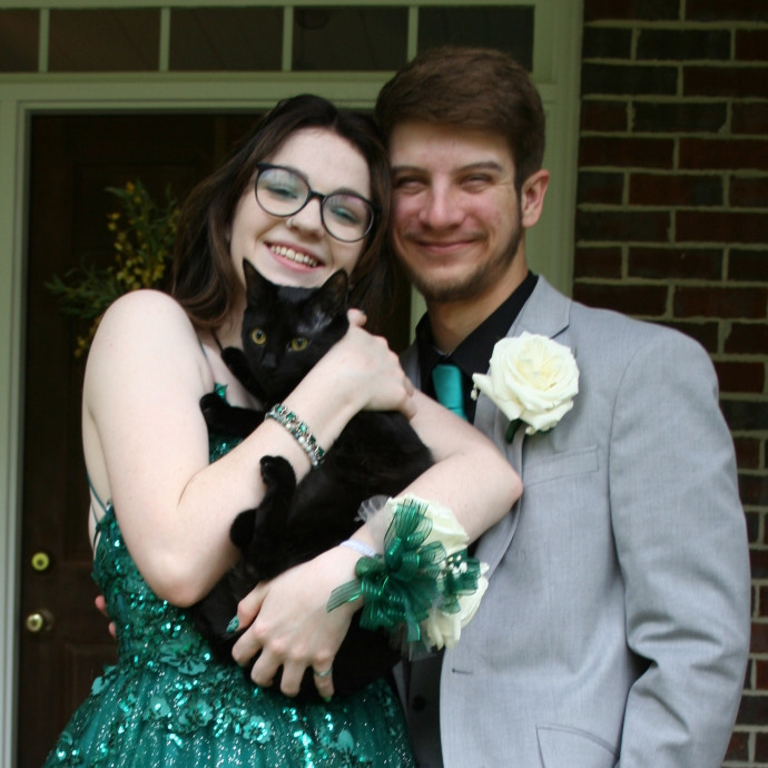 Cat Person 247