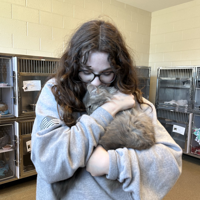 Cat Person 247