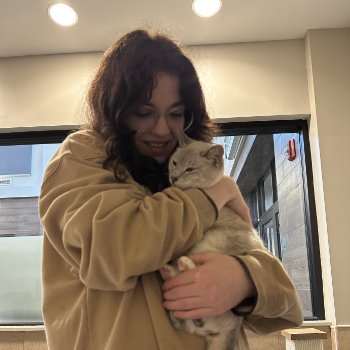 Cat Person 247