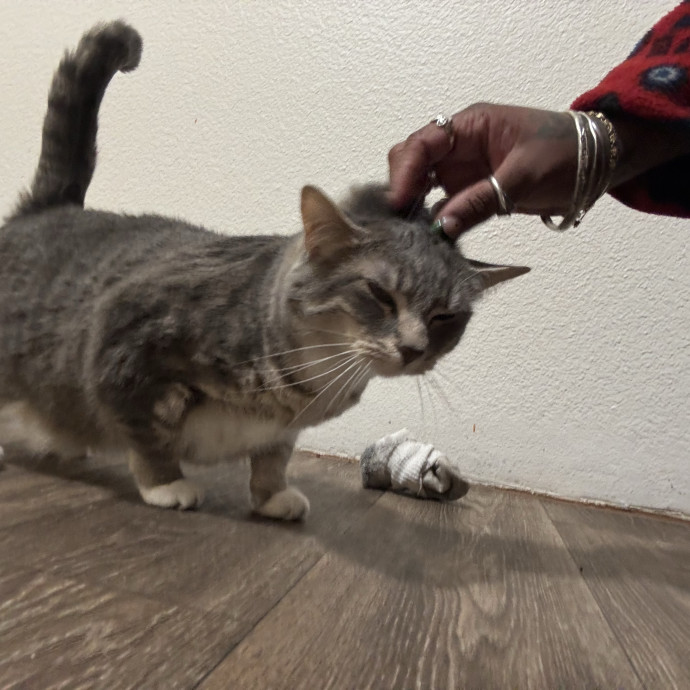 Let Me Love Your Fur Baby photo 3