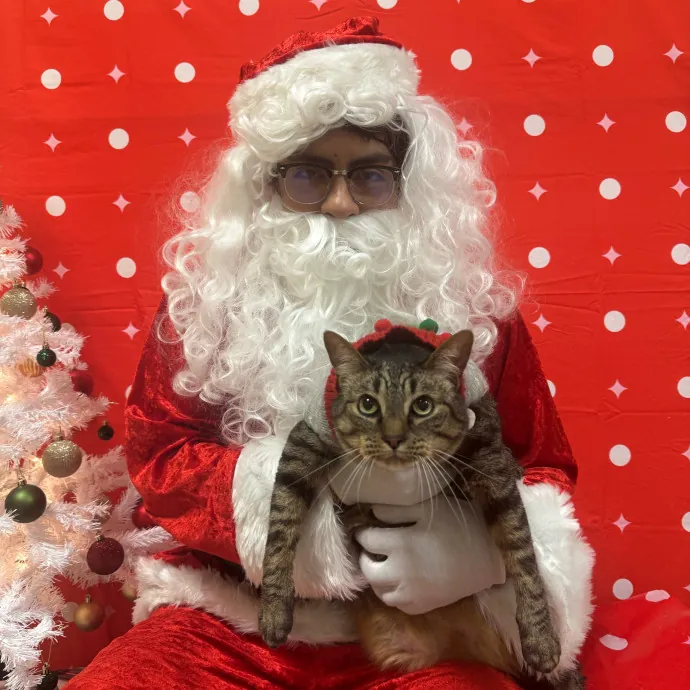 The Purrfect Cat Sitter