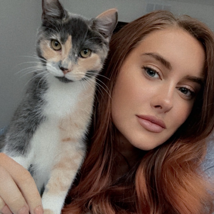 The Purrfect Cat Sitter