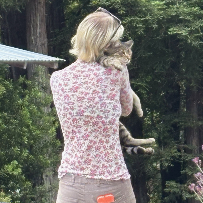 Cat Fairy Godmother
