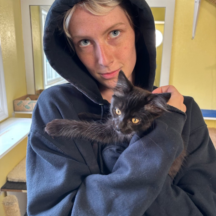 Cat Fairy Godmother