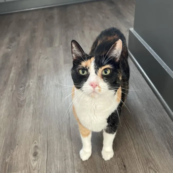 Maryam And Faadhil T.