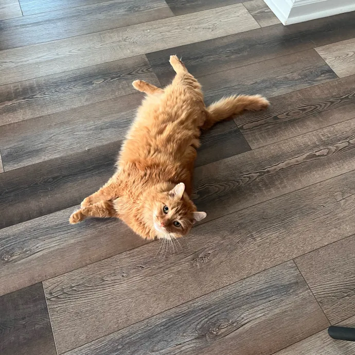 Maryam And Faadhil T.