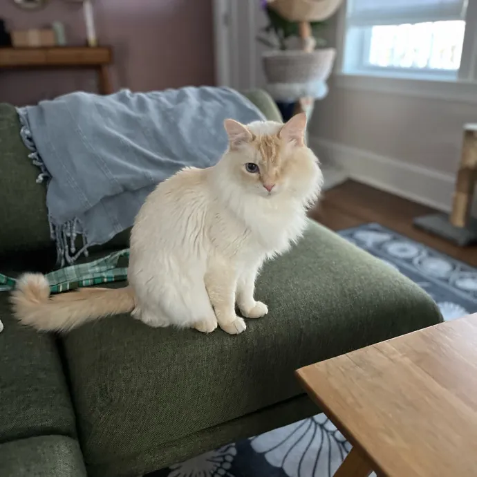 Maryam And Faadhil T.