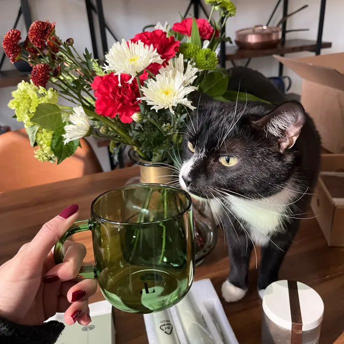 Maryam And Faadhil T.