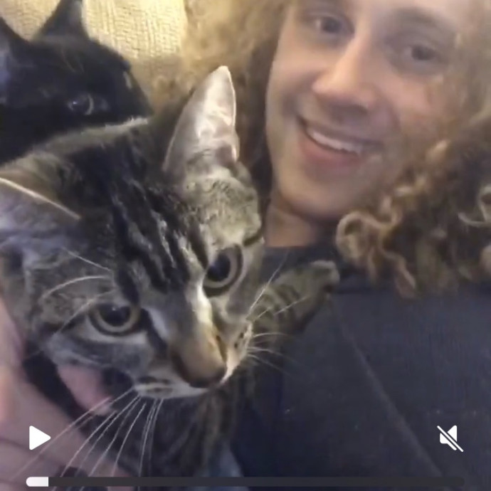 Responsible Rest-Assured Cat Care