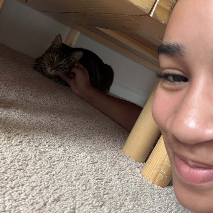 Purr-Fect Care While You're Away photo 2