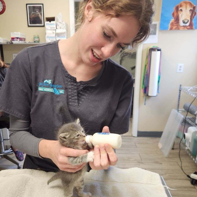 Vet Student And Cat Lover