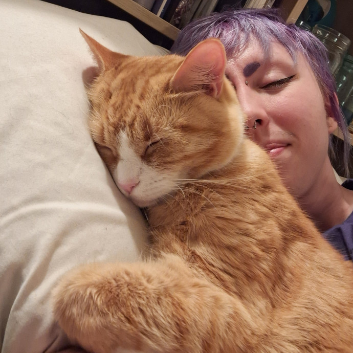 Finn's Clouder Kitty Care photo 2