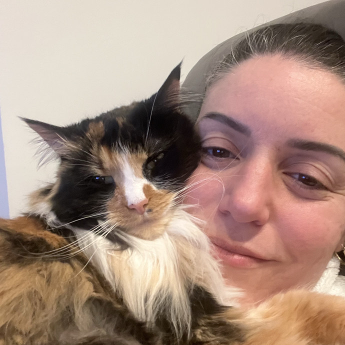 Purrfect Sitter For Your Kitty