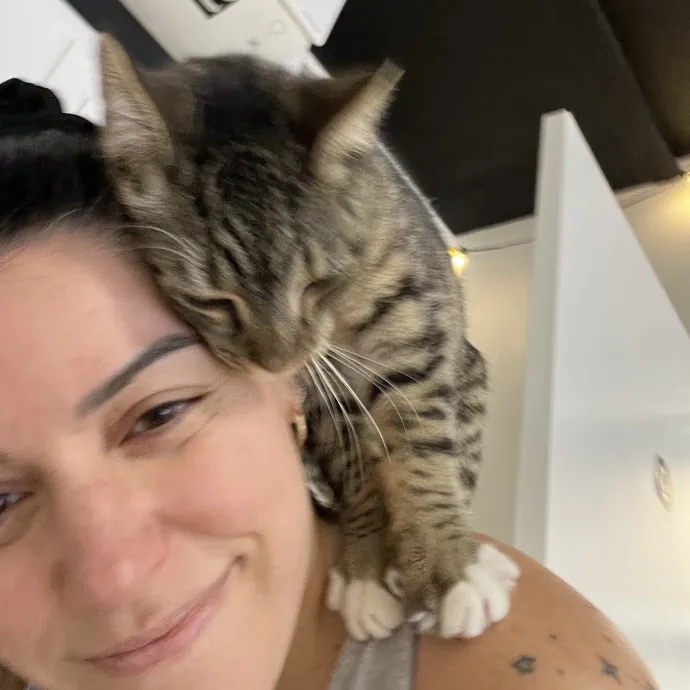 Purrfect Sitter For Your Kitty