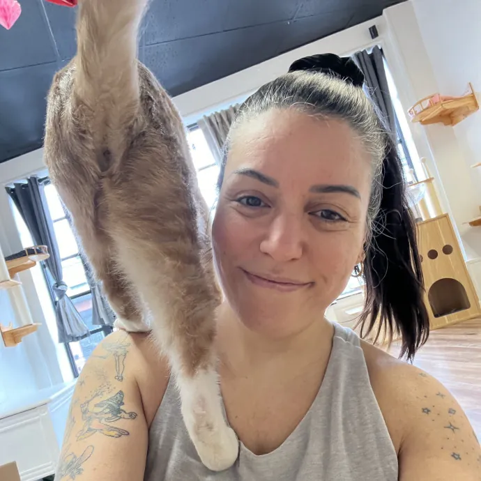 Purrfect Sitter For Your Kitty