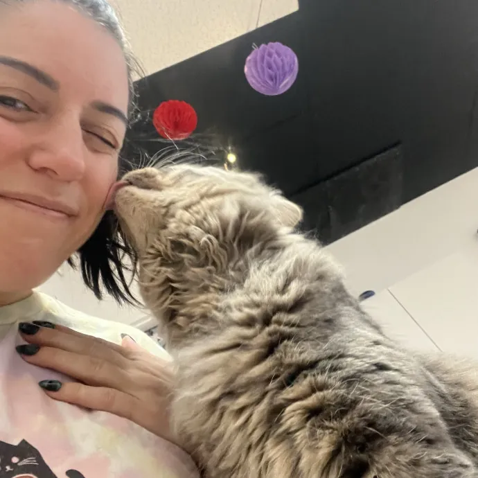 Purrfect Sitter For Your Kitty