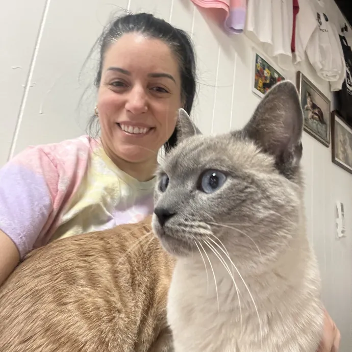 Purrfect Sitter For Your Kitty