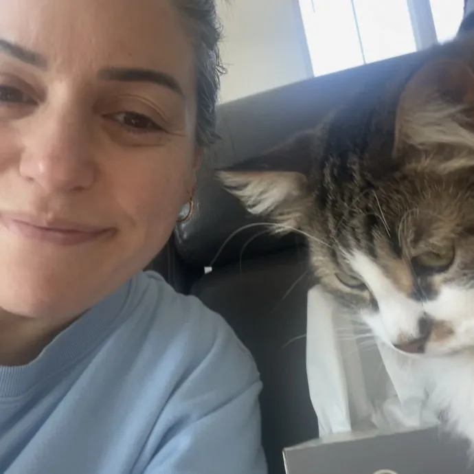 Purrfect Sitter For Your Kitty