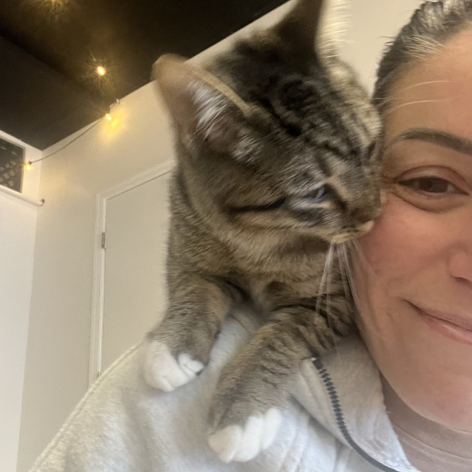 Purrfect Sitter For Your Kitty