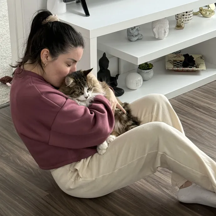 Purrfect Sitter For Your Kitty photo 2