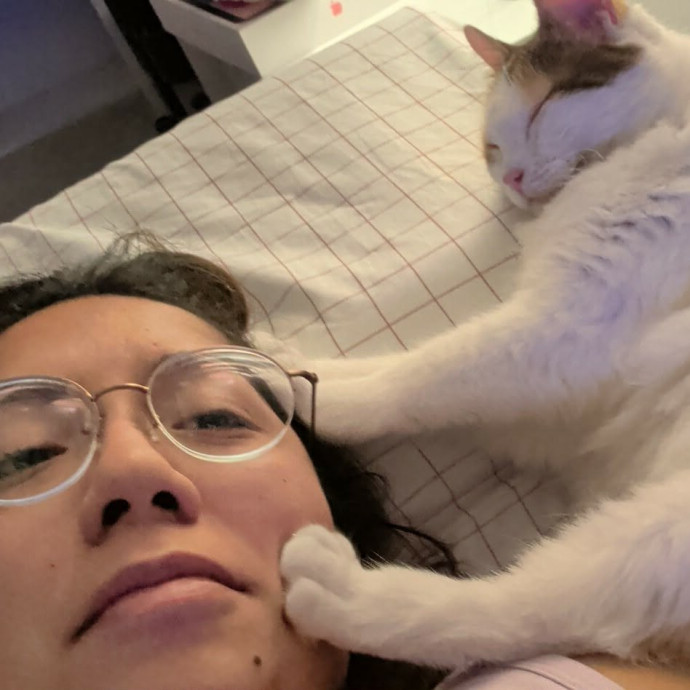 Den's Happy Cats
