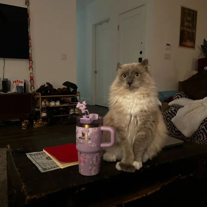Livi Sits