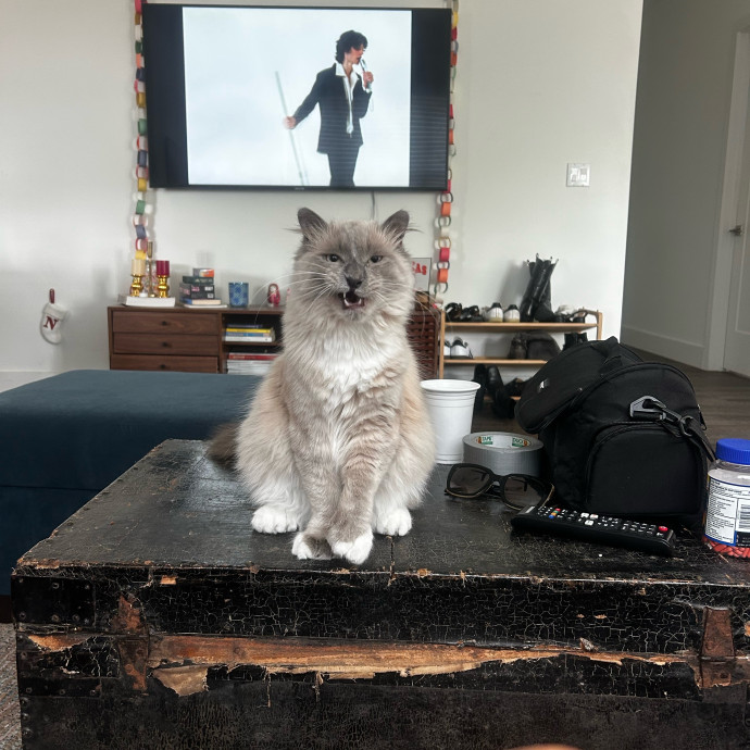Livi Sits