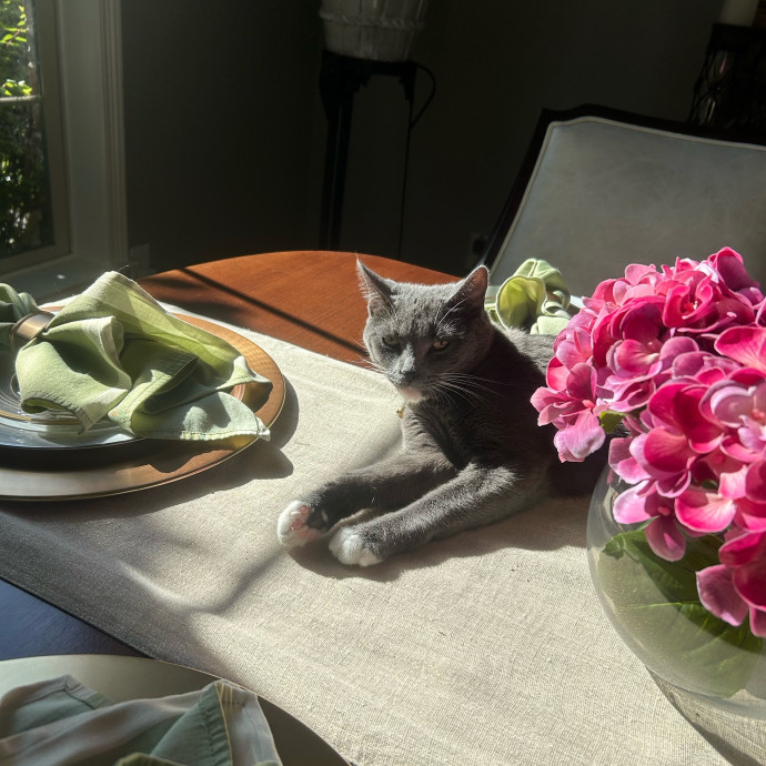 Livi Sits