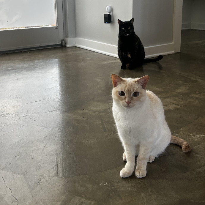 Livi Sits