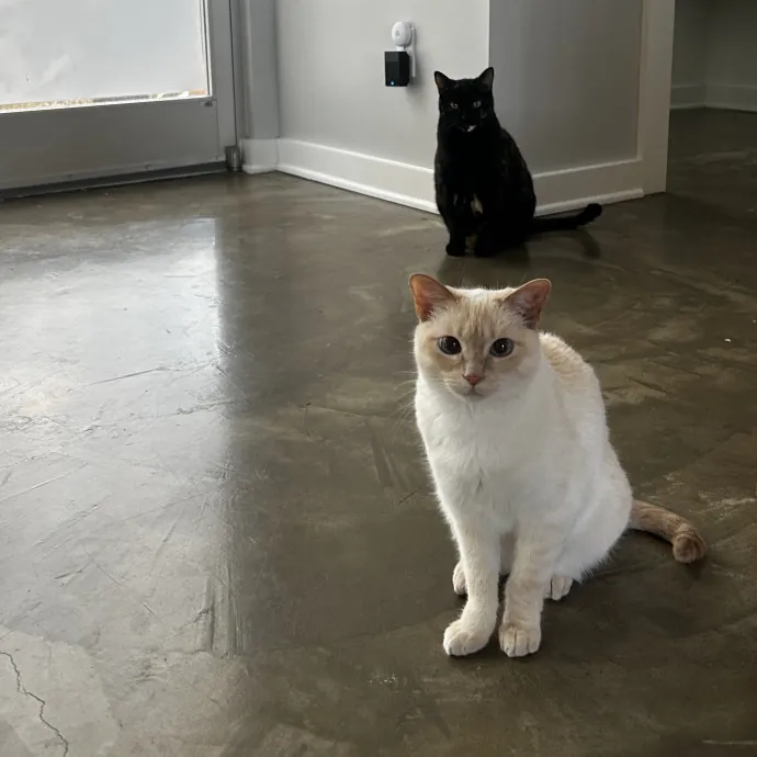 Livi Sits