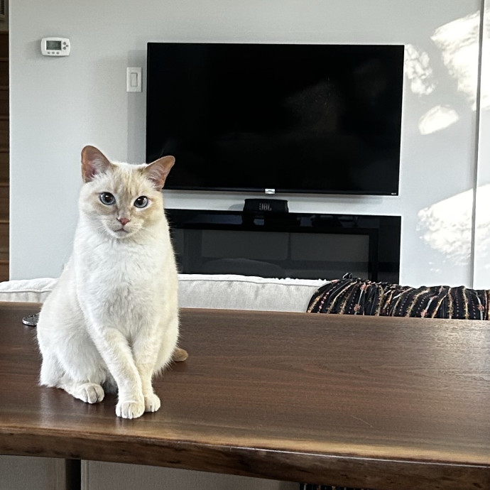 Livi Sits