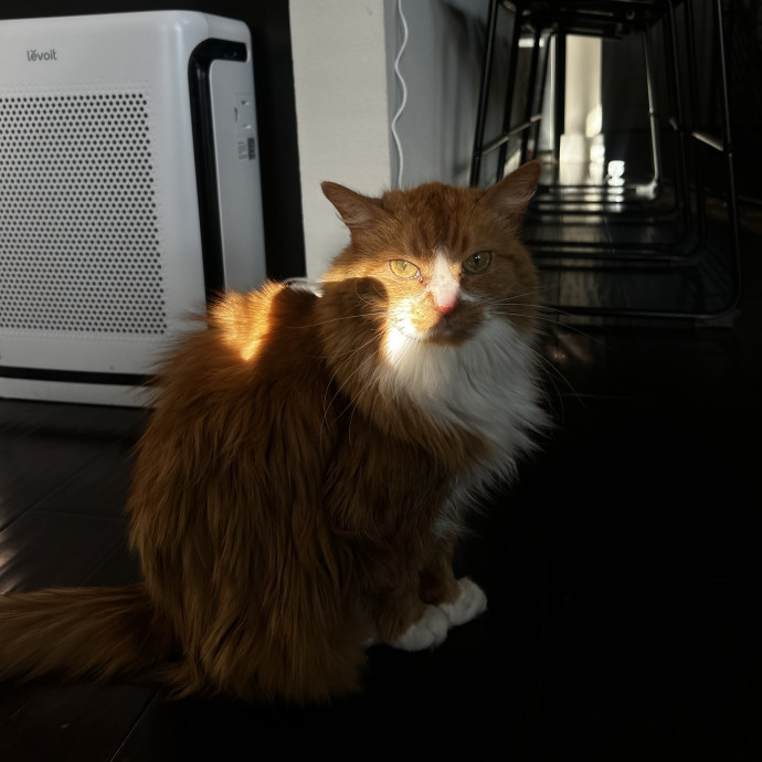 Livi Sits