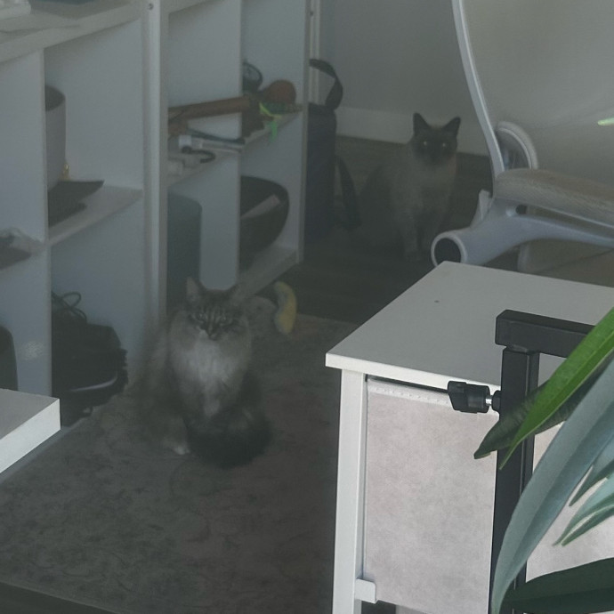 Livi Sits